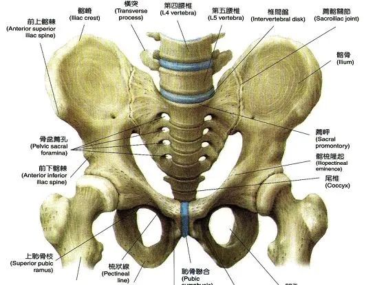 不轻传的松腰开胯秘法