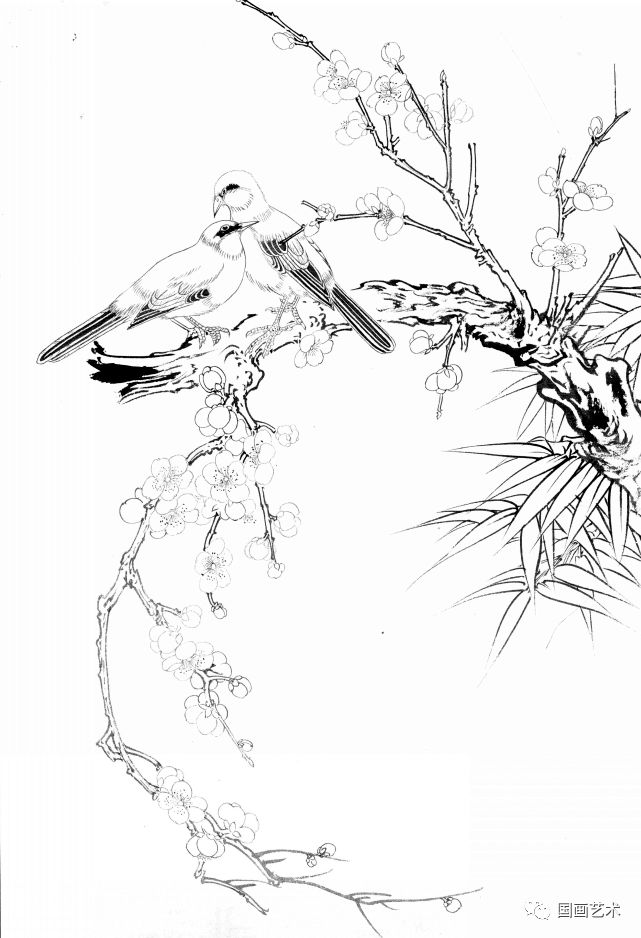 梅花小鸟白描画稿好美