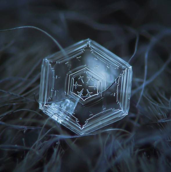 他9 年用"假相机"只拍一朵雪,结果第一张照片就惊艳了世界!