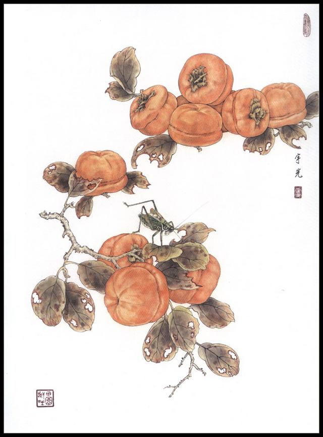 教你画画:苏宇光的水果,蔬菜工笔画