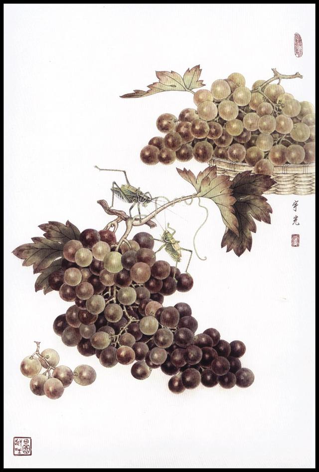 教你画画:苏宇光的水果,蔬菜工笔画