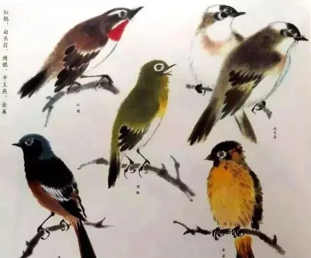 燕子,金肚子,麦雀,麻雀,鹟(局部)金肚子小鸡,小鸭水墨写意画鸟范画