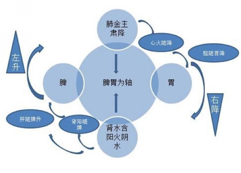 千年古方如何养脾救命?