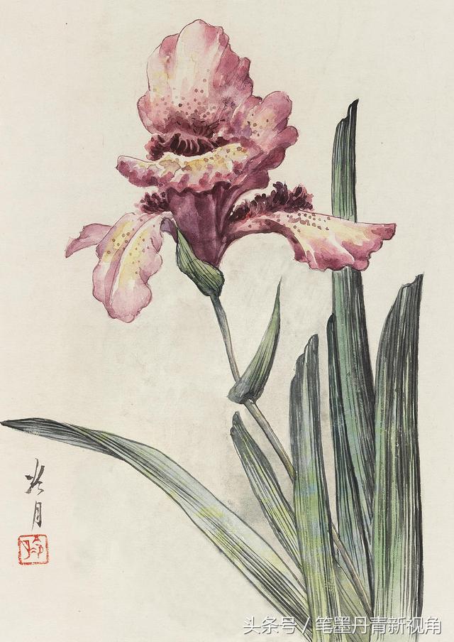 专题国画作品之七鸢尾花