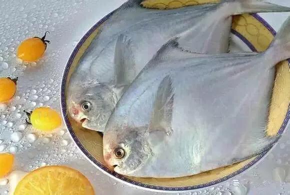 海鲜种类大全你们都认识吗