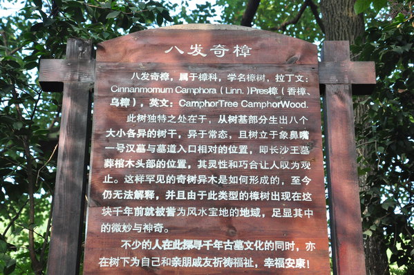 祖国风光3895长沙王陵公园