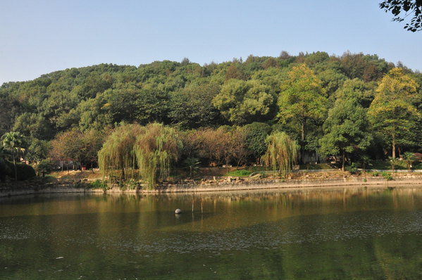 长沙汉王陵遗址公园图片