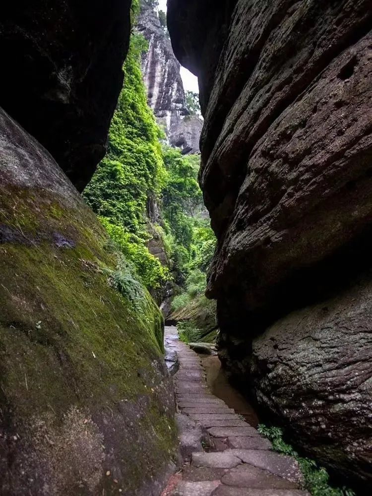 燕子窠山场简介图片