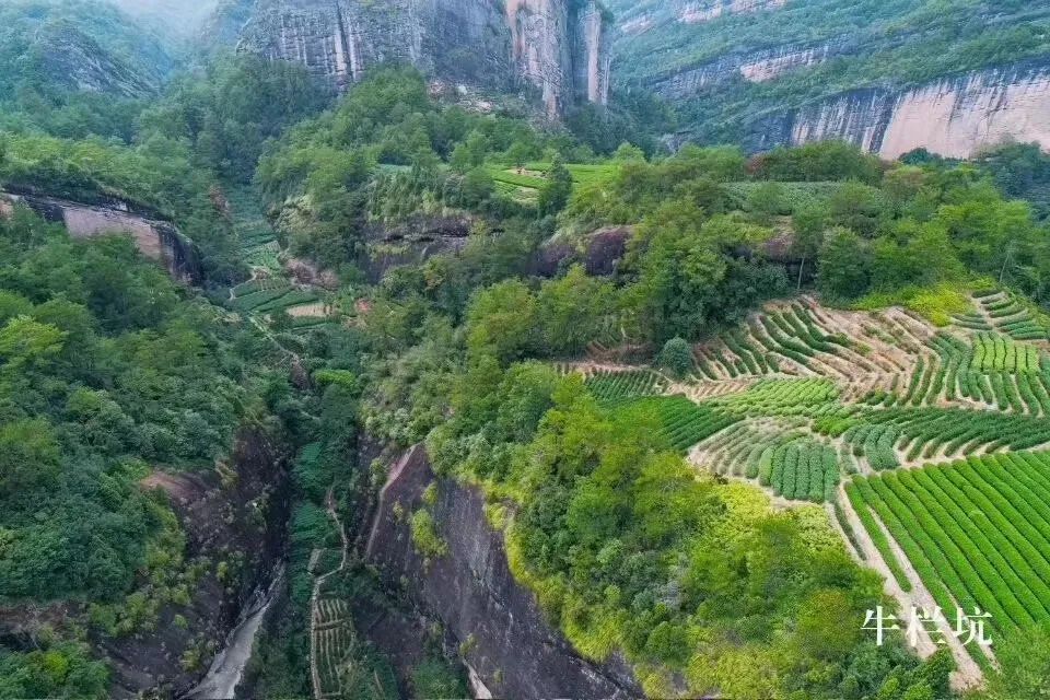 燕子窠山场简介图片