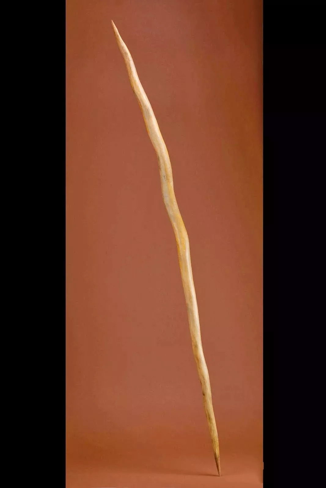 ◤40万年前的木制长矛
