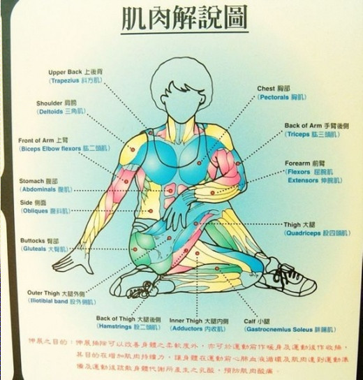 拉筋活一百二十岁