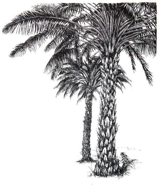 金属丝般的随意线条可以描绘针叶树的枝干,记住树叶茂密的区域会在它