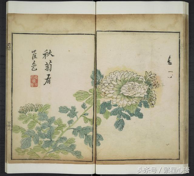 清康熙年彩色套印本芥子园画谱全图