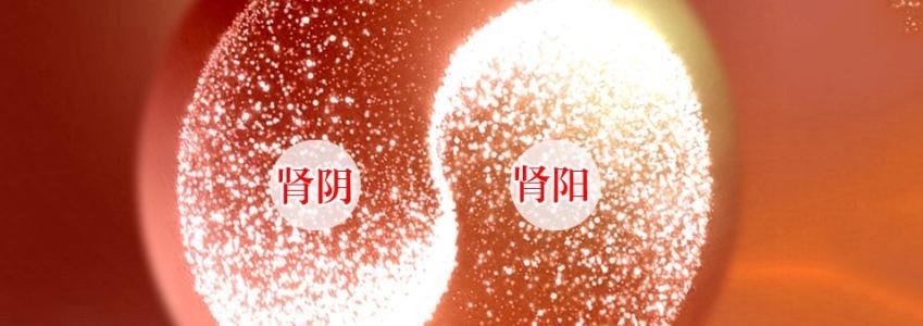 什么是肾阴虚中年补肾阴好帮手就藏在树上别乱买乱吃了