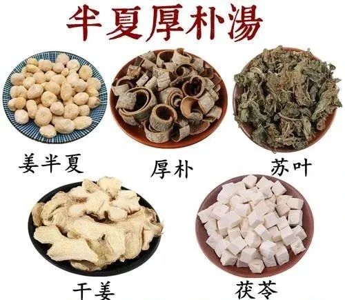 金匮要略半夏厚朴汤治疗慢性咽喉炎