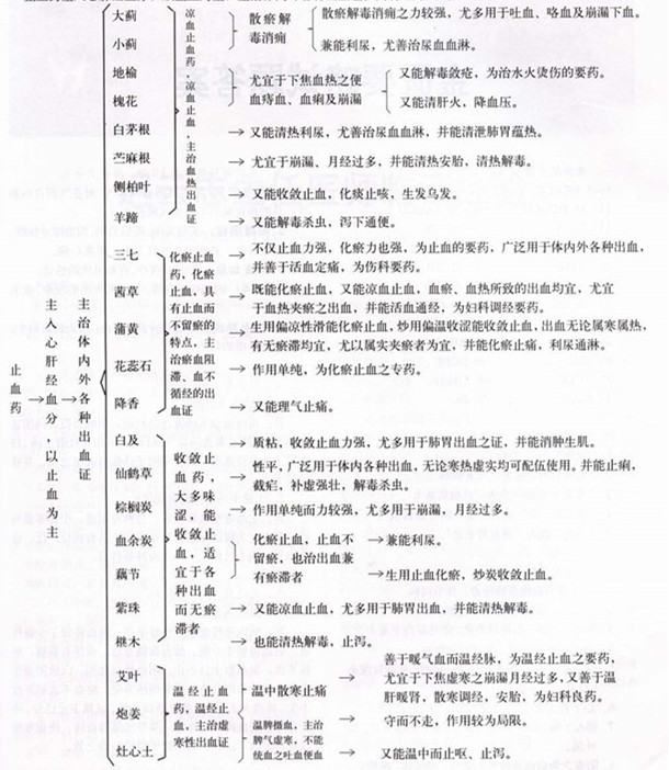 中药学记忆导图北京中医药大学钟教授总结