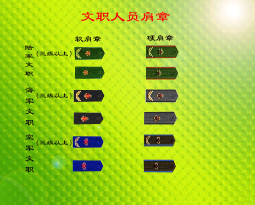 中国军衔图案大全