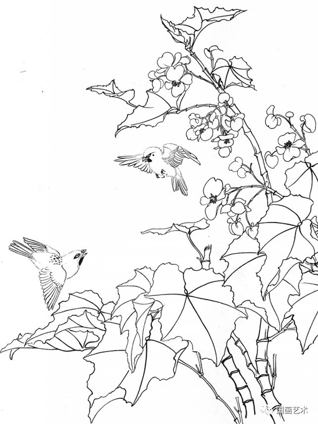 资料分享一组漂亮的工笔白描花鸟