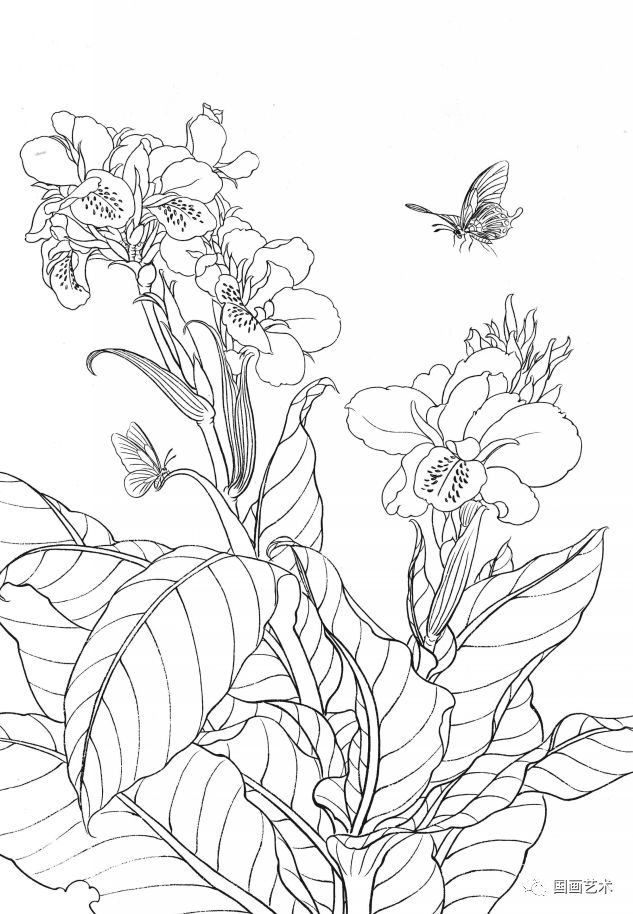 资料分享一组漂亮的工笔白描花鸟