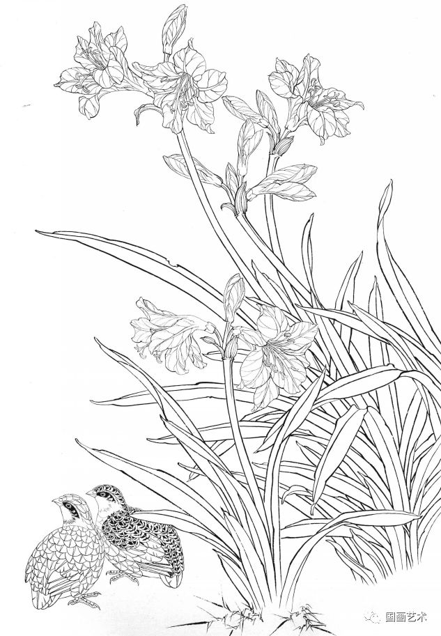 资料分享一组漂亮的工笔白描花鸟