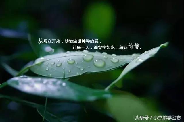 簡單的陪伴,你卻總是毫不在意;一直的給予,你卻時常漫不經心.