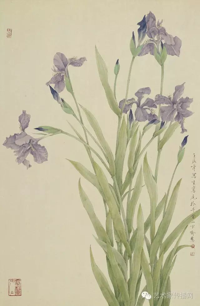 出版有《喻慧花鸟画集》,《新工笔花鸟·喻慧》,《现代工笔