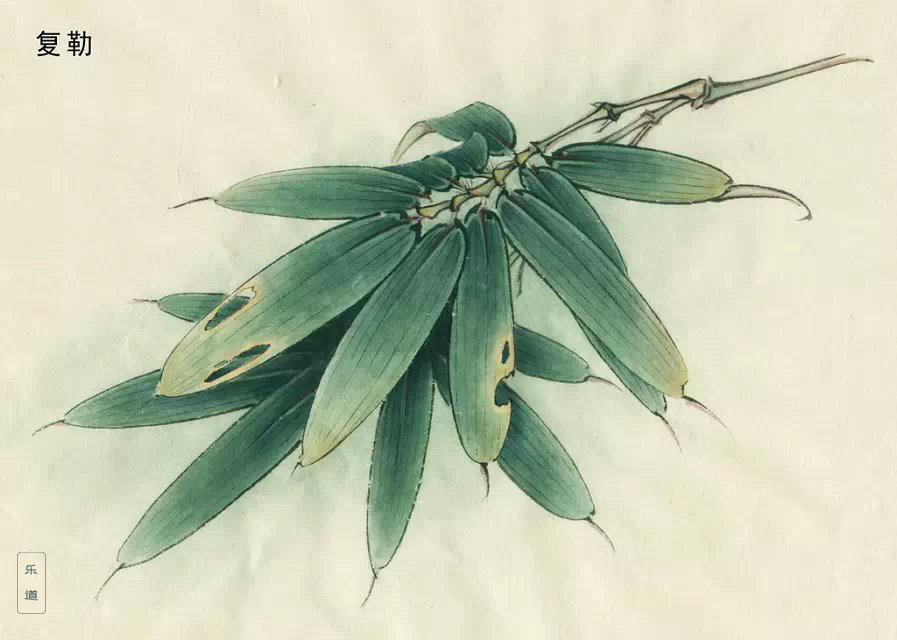 工笔画的十八种染色技法