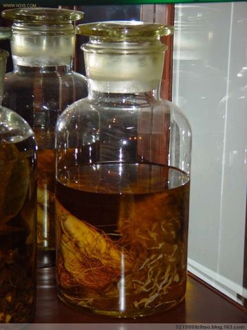 常用药酒大比拼