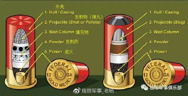 霰弹篇关于子dan这个东西你们到底知道多少极限科普