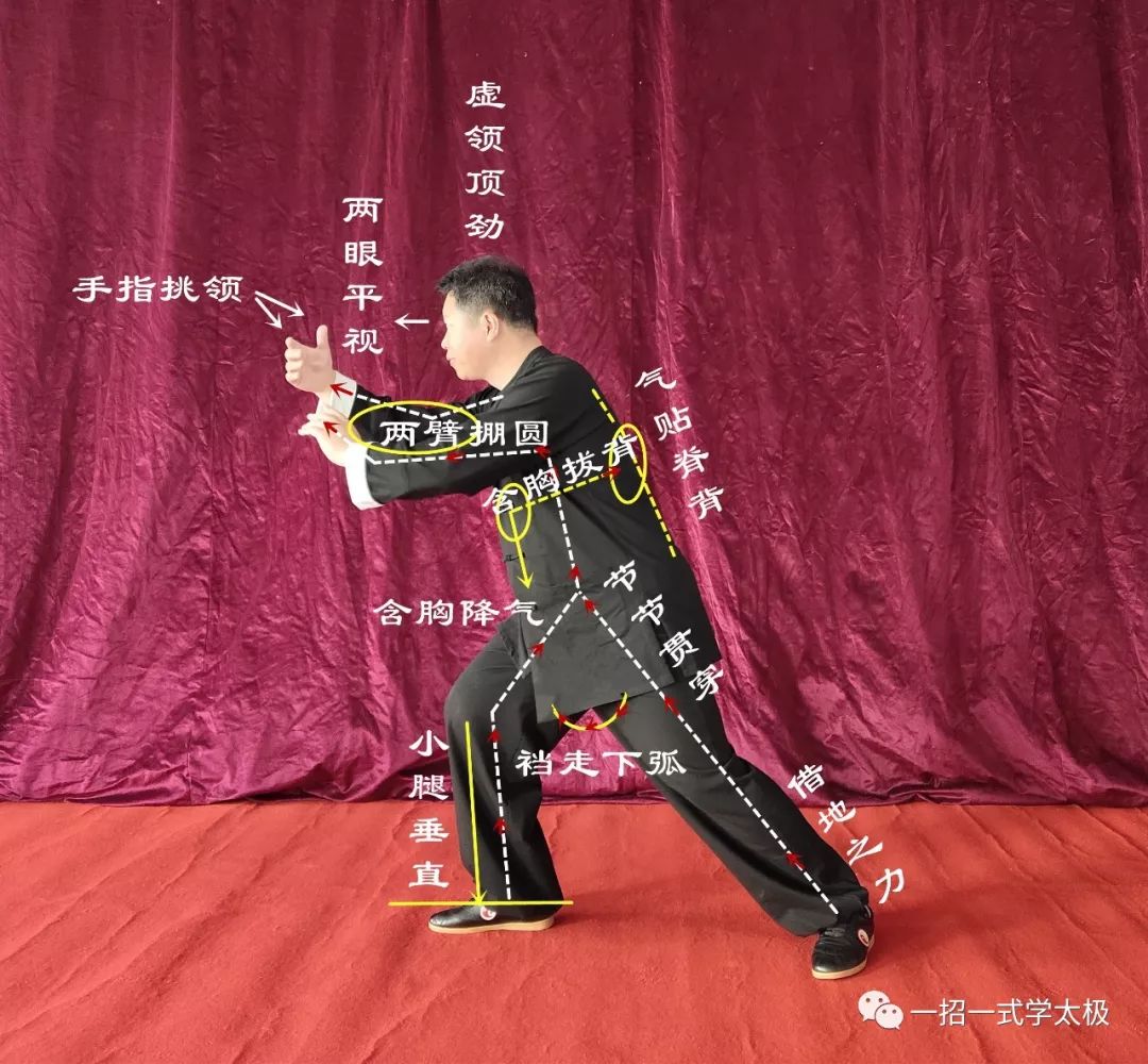 杨式八十五(内功练法)三:揽雀尾