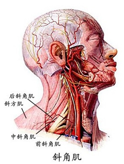 八把半锁刘合斌