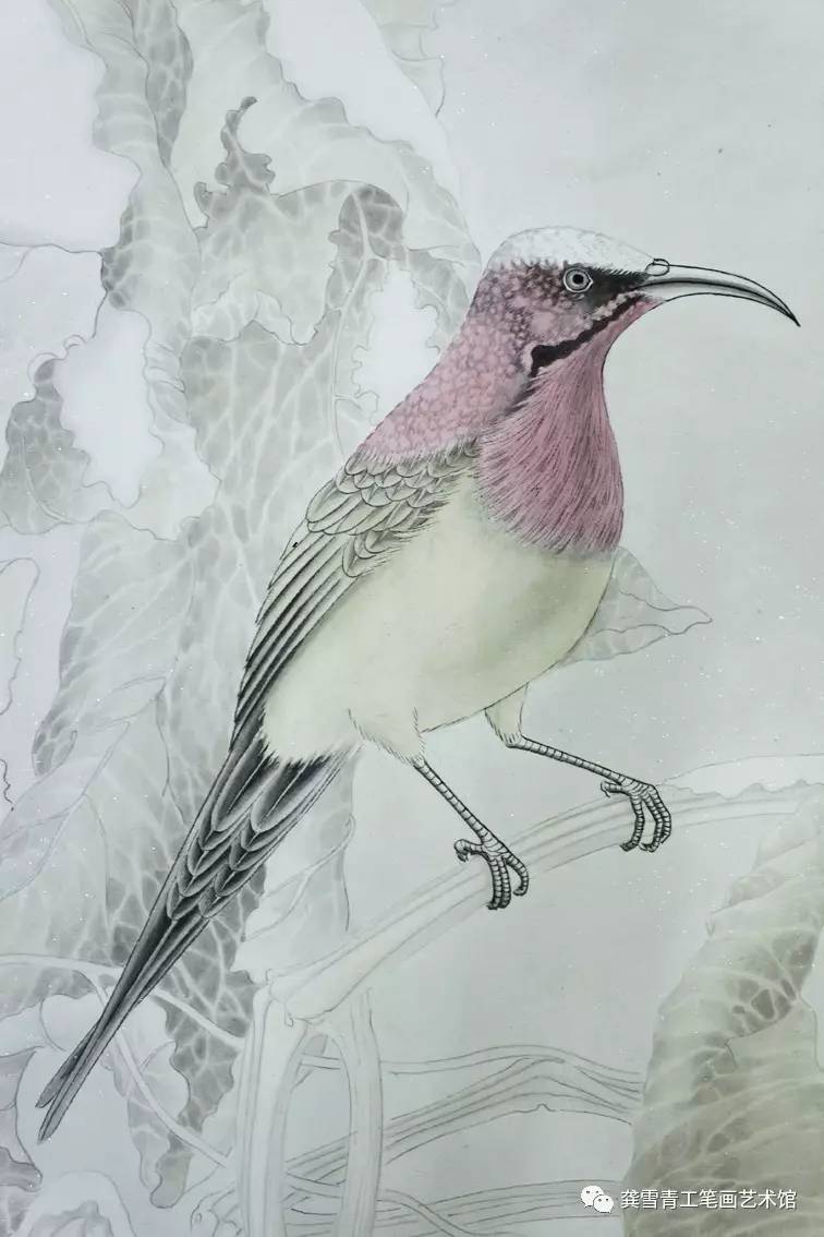 龚雪青工笔禽鸟作品-太阳鸟