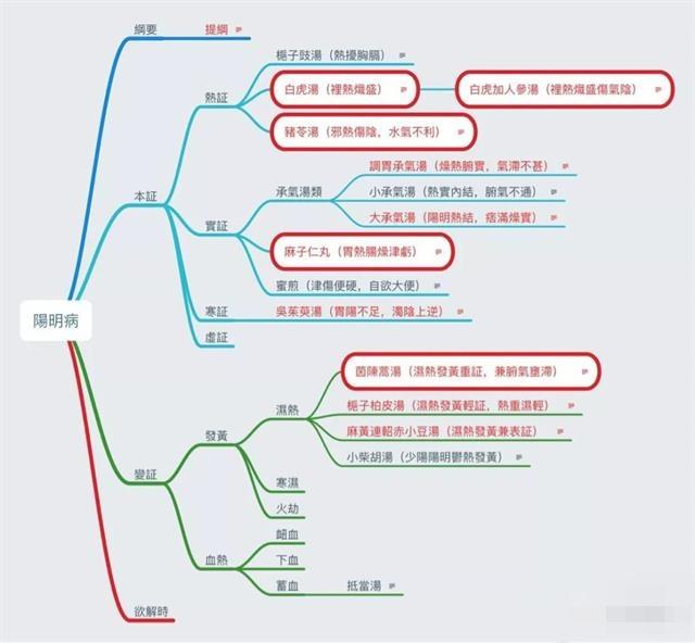 伤寒论六经病思维导图总结