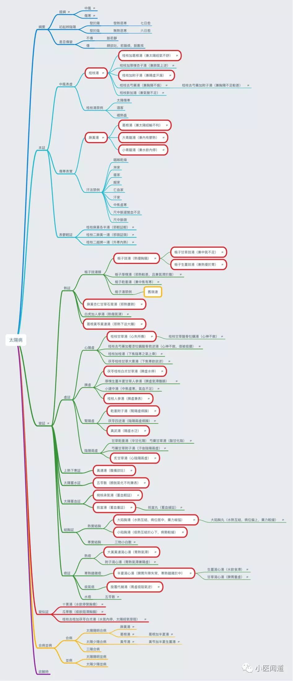 傷寒論六經病思維導圖