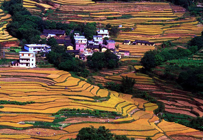 广东十大梯田美景(组图)