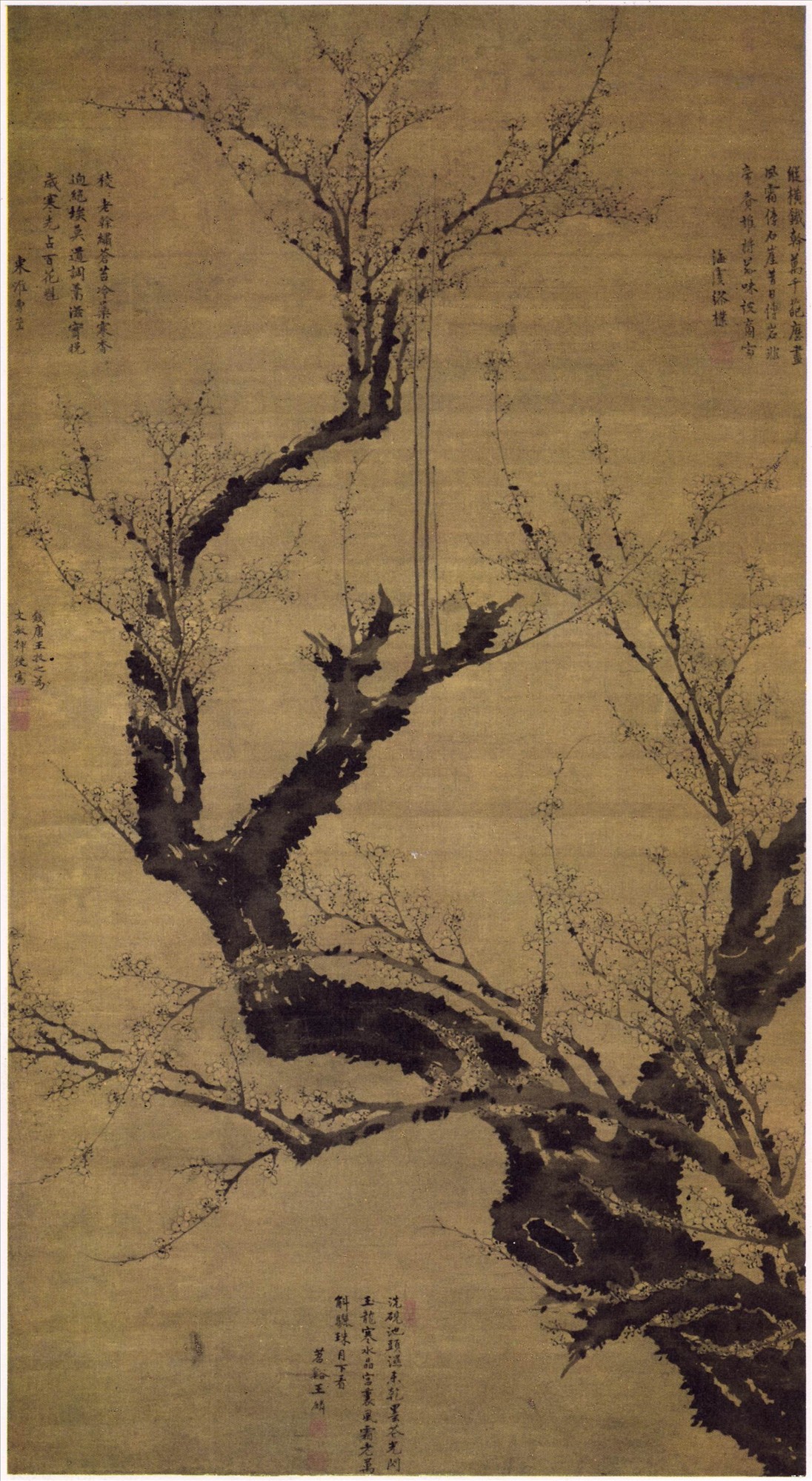 明 王谦 墨梅图轴 北京故宫博物院藏风竹清风关注文章收藏:4088