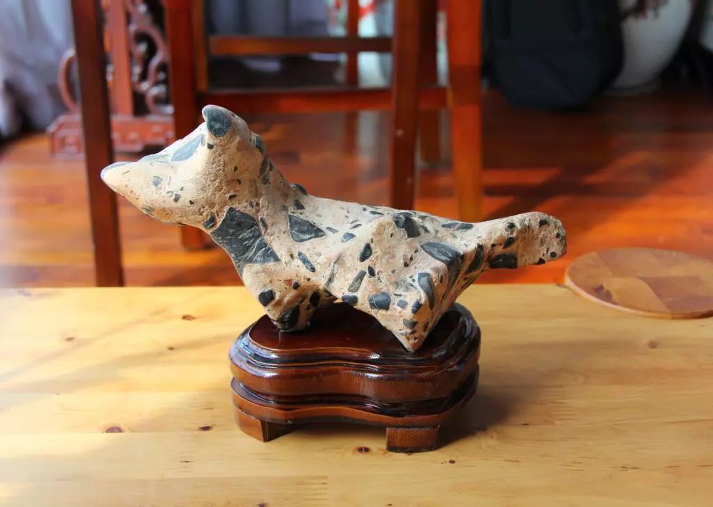 狗年看狗,型似狗的奇石