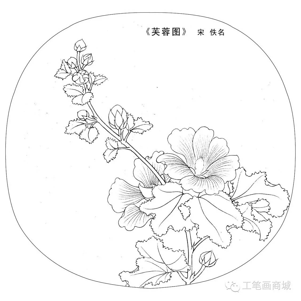 宋人小品白描稿40张