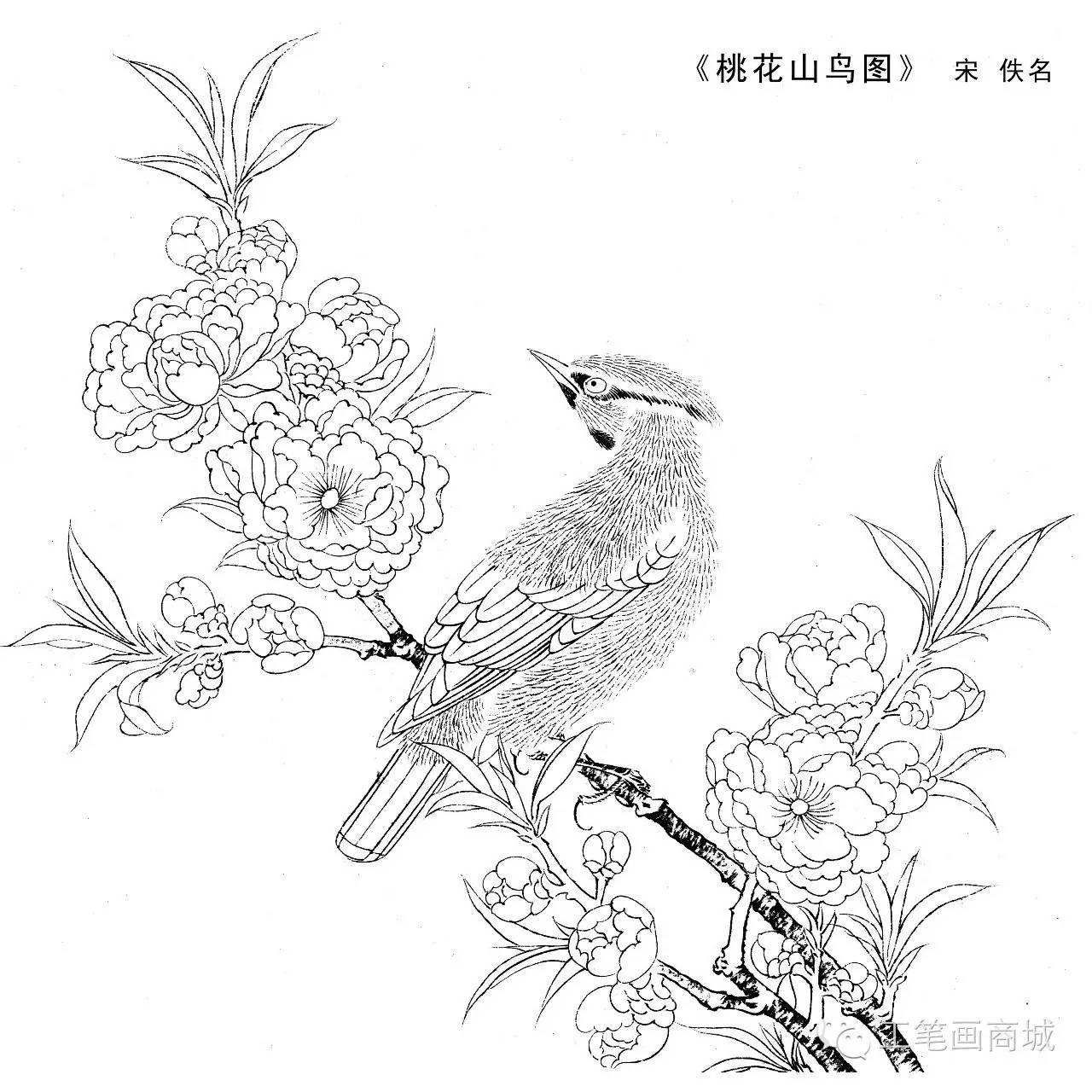 宋人小品白描稿40张