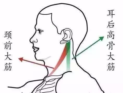 颈部拨筋手法图片