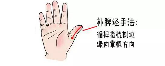 补脾经:循拇指桡侧边缘,沿指尖向关节处推为补力度要轻,不宜太重