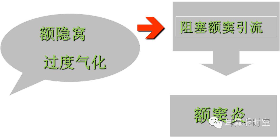 炎不会改善蝶窦区域解剖最后筛房与视神经onodi气房onodi气房的出现率