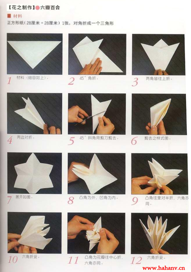 折纸花步骤图解简单图片