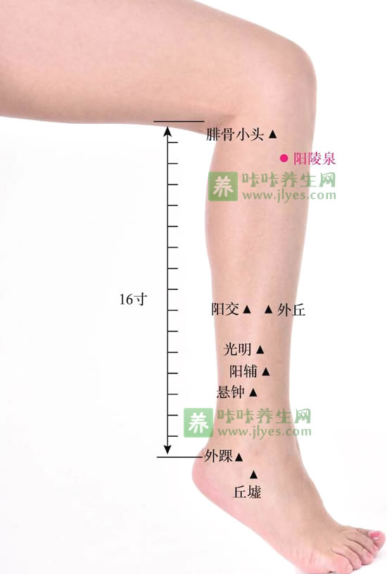 胆经的准确位置图胆经不通的症状敲胆经的作用和功能