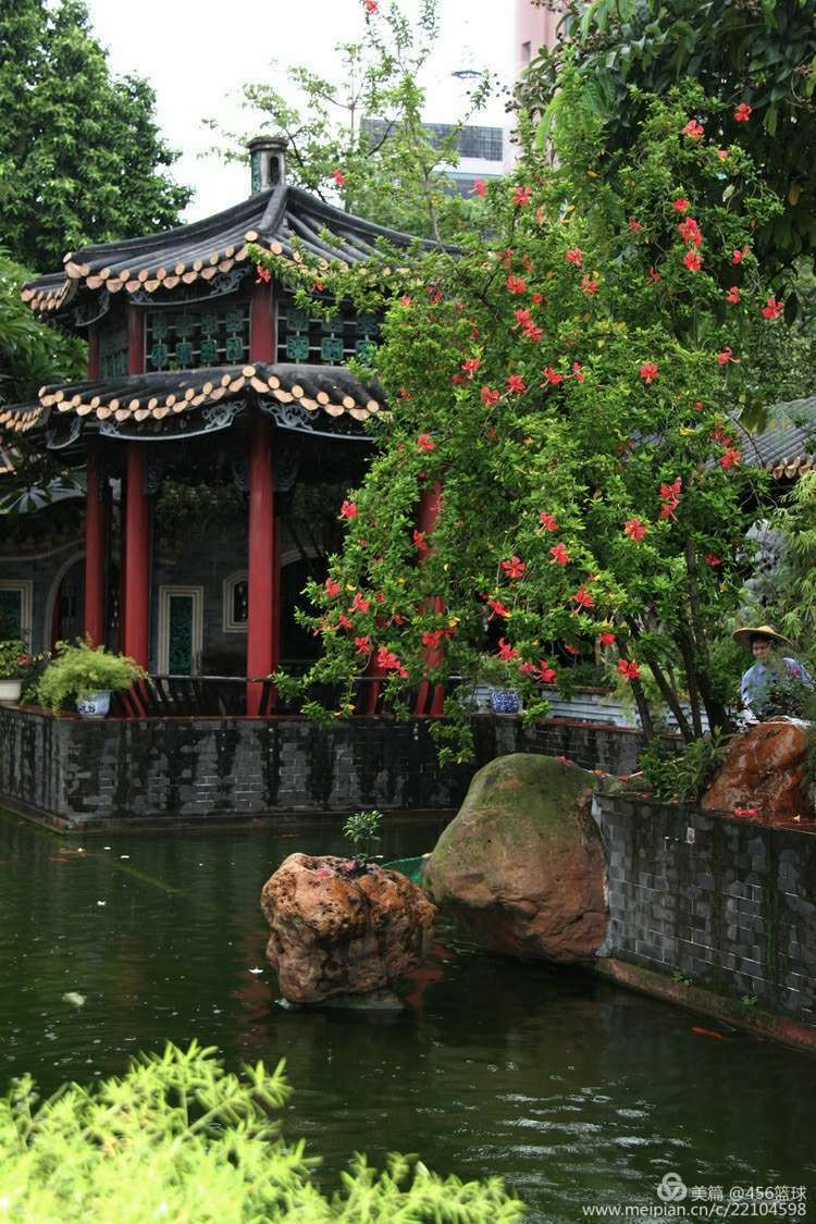 清晖园的园林建筑确实胜人一筹,不愧是岭南四大园林中唯一被评为aaaa