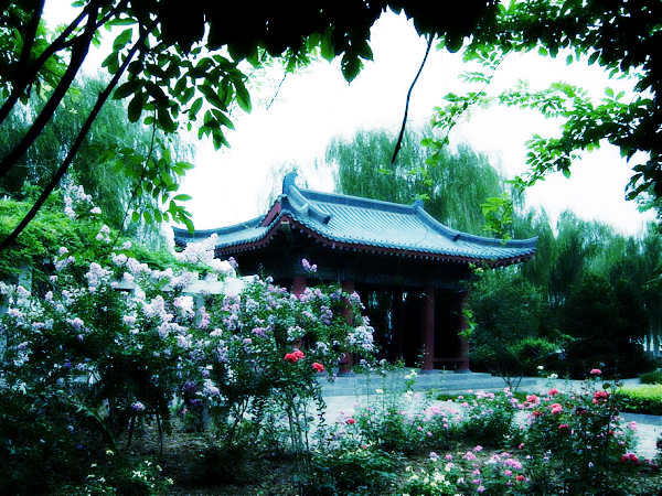 今日名园早已无迹可寻洛阳火车站之金谷园只是托名,而非故址.