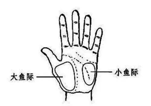 大鱼际处出现一条线形的凹陷,病人往往存在心肺功能不足的症状,即宗气