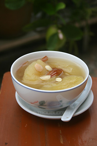 苹果南北杏猪骨汤