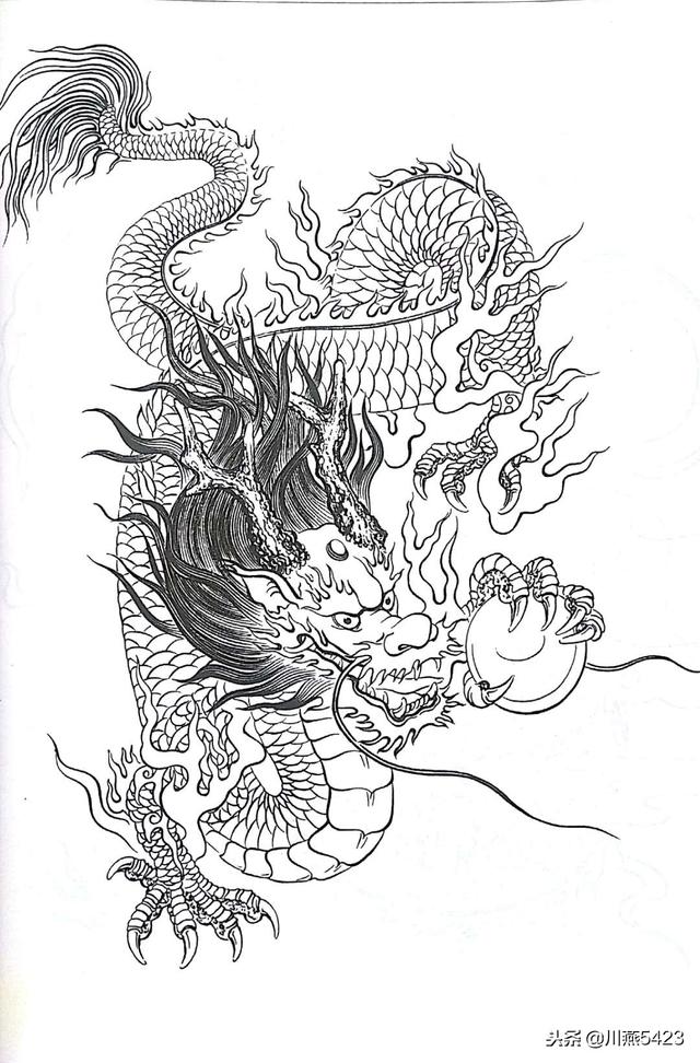 中国龙 白描画稿