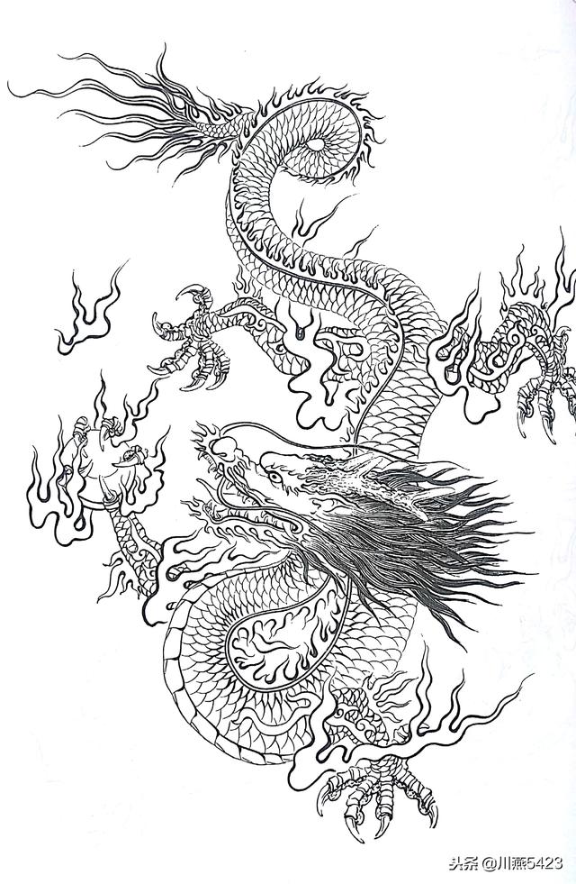 中国龙 白描画稿